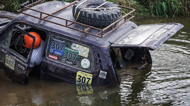 稳定的教练 稳定的教练