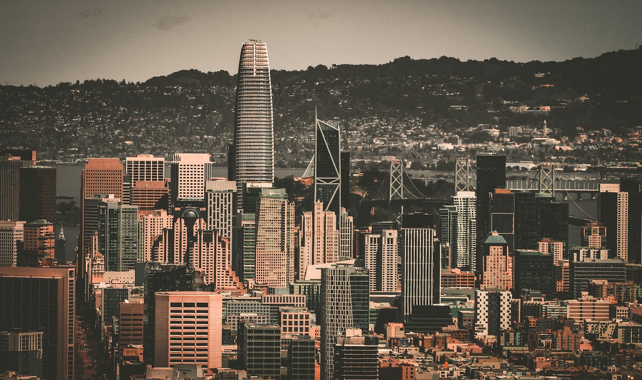 球迷的负责 球迷的负责