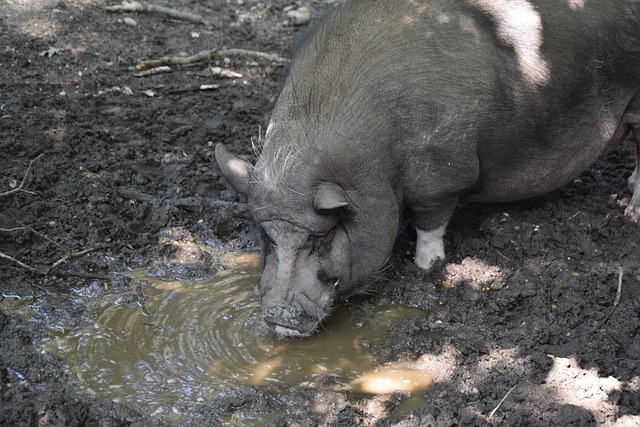 表現充滿期 表現充滿期